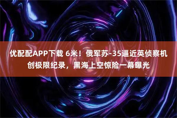 优配配APP下载 6米!俄军苏-35逼近英侦察机创极限纪录,黑海上空惊险一幕曝光